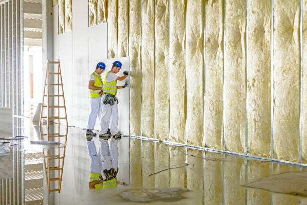 Best Commercial Insulation in Randallstown, MD